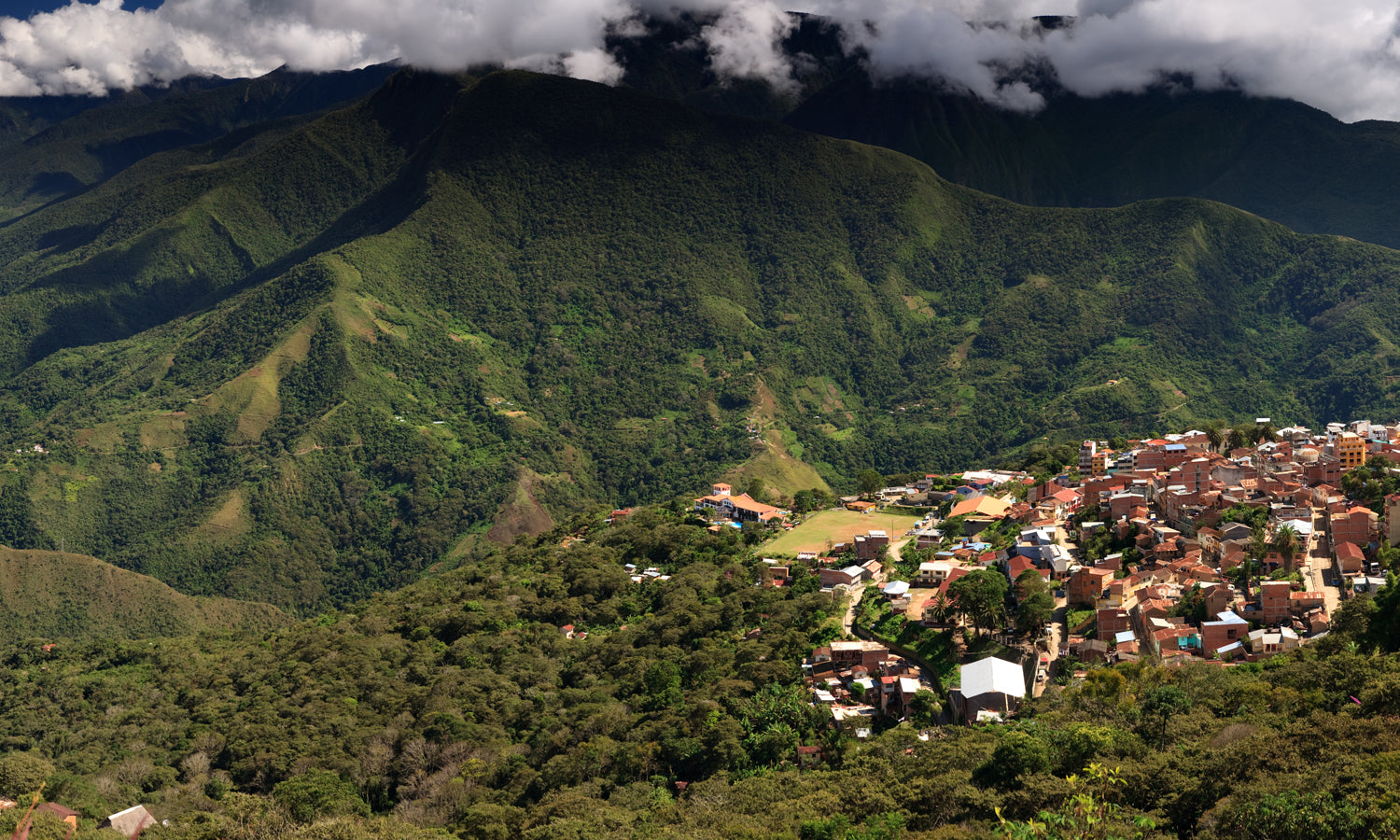 Bolivia La Asunta en lata 250 g café molido medio